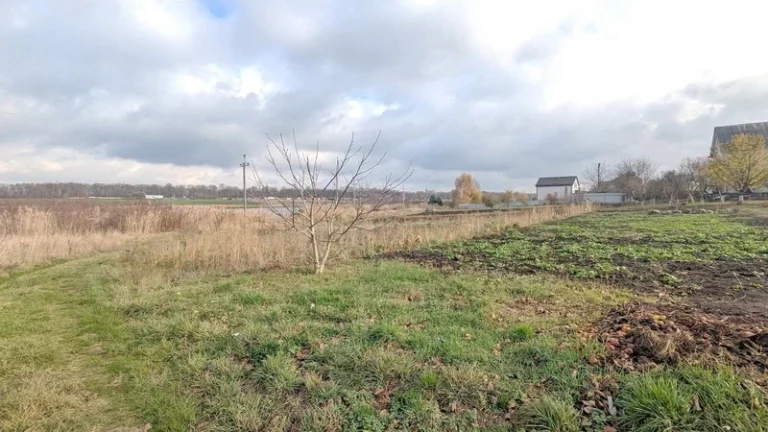 Строительство на арендованной земле в РБ: права, выкуп и правила